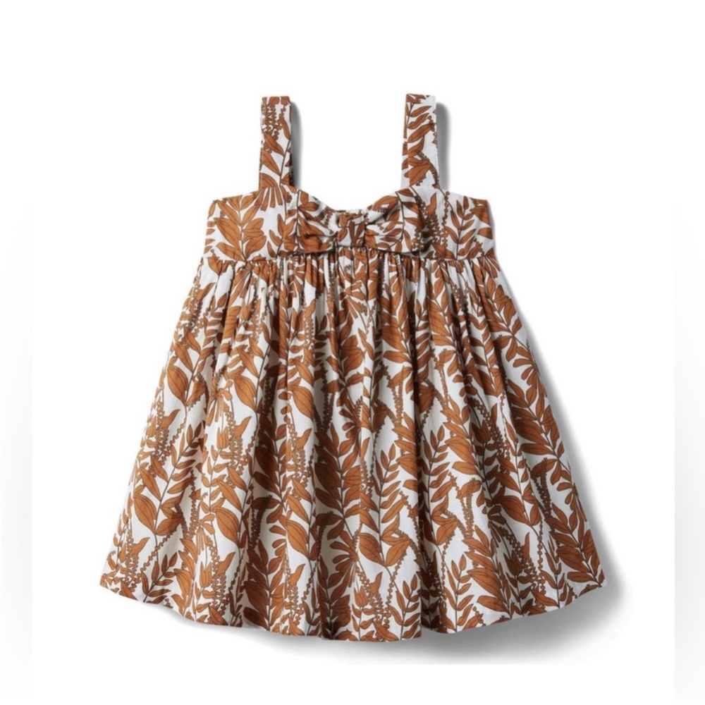 Janie and Jack Brown and White Floral Dress
